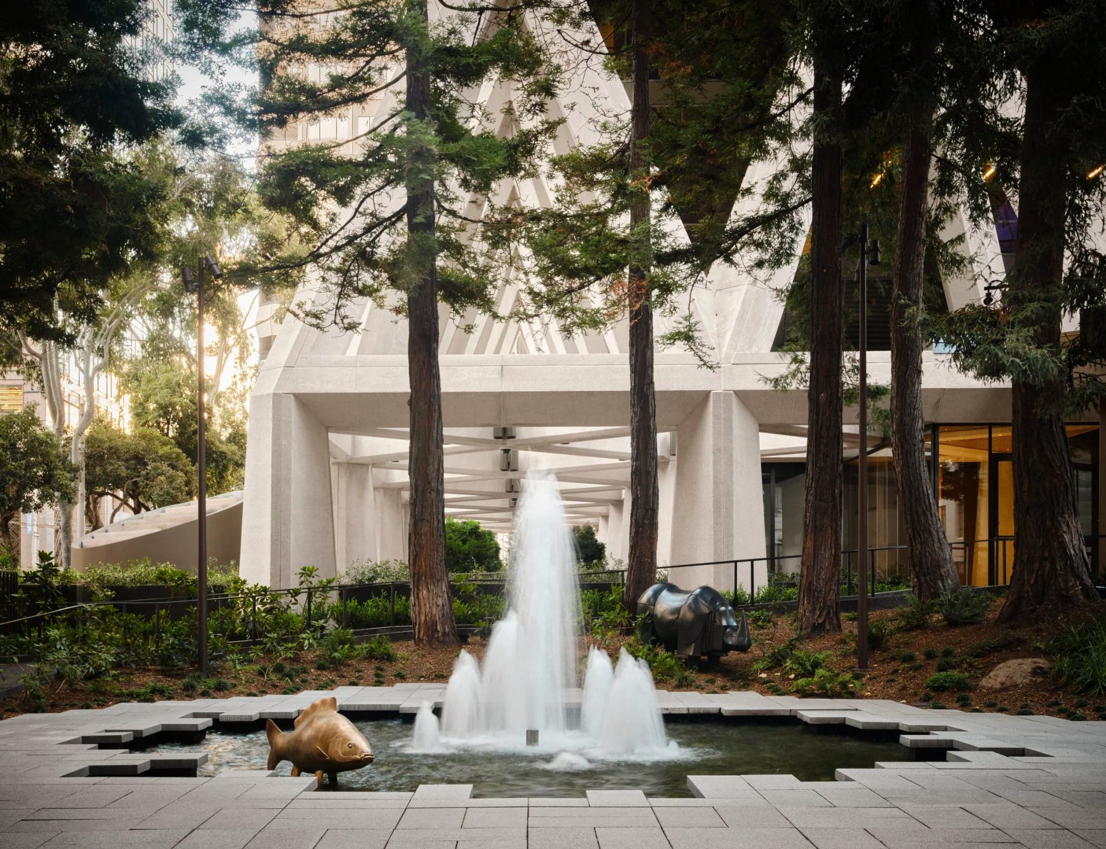A fountain and surrounding planting beneath the redwoods.