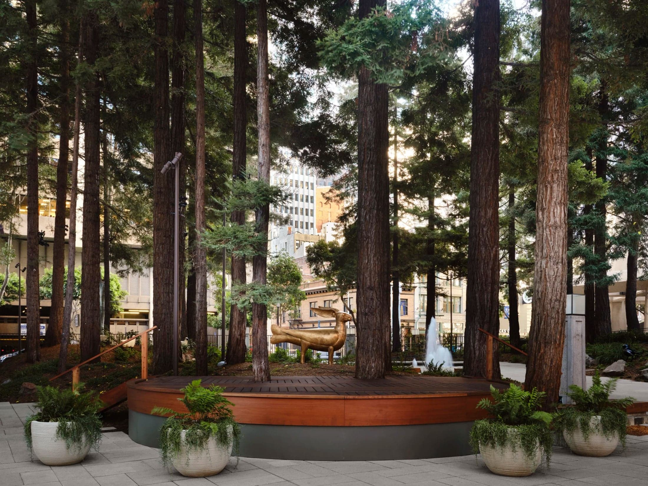 A raised platform framed by trees at Transamerica Redwood Park.