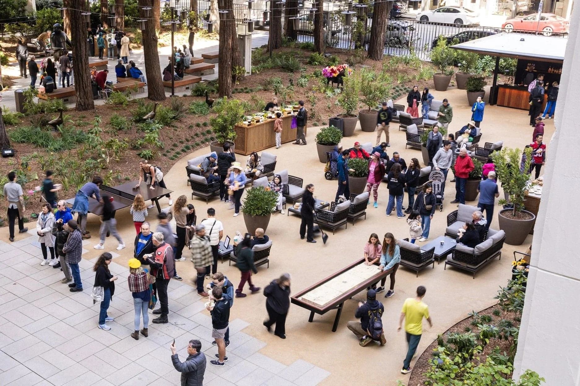 Visitors gathering around outdoor seating and tables beneath the redwoods.